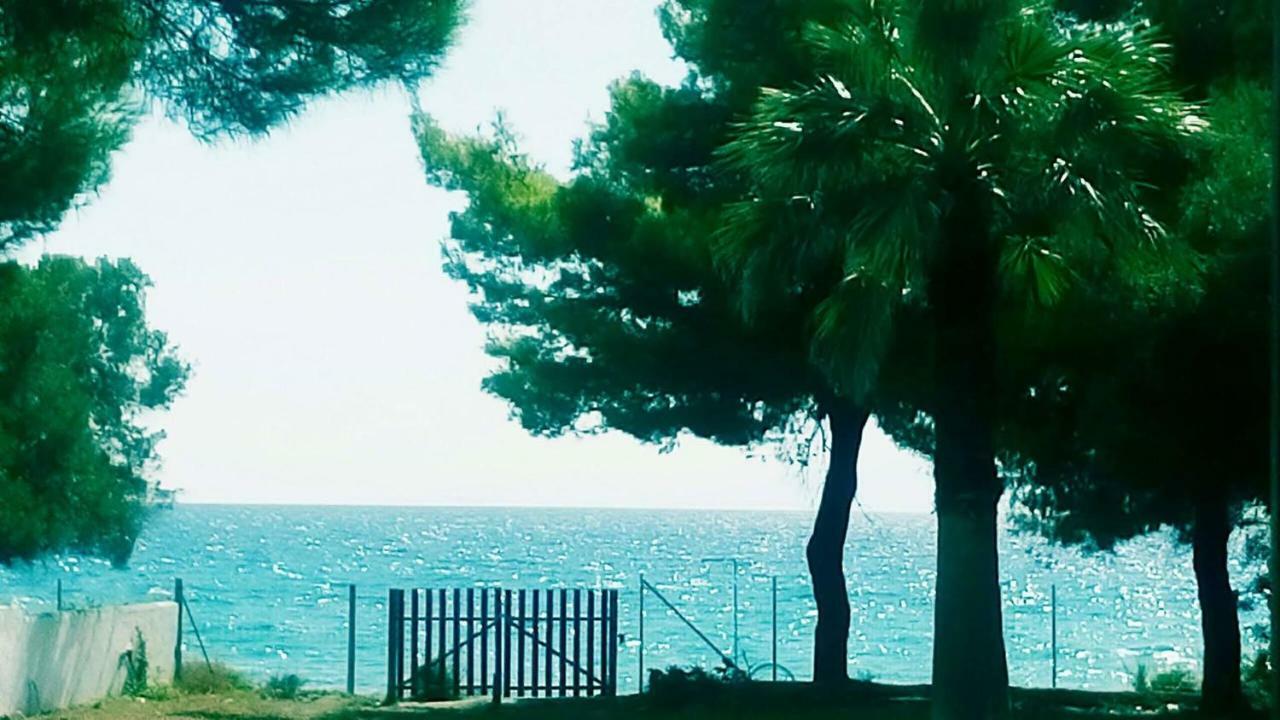 Seafront Villa Joan เนอา สกีโอนี ภายนอก รูปภาพ